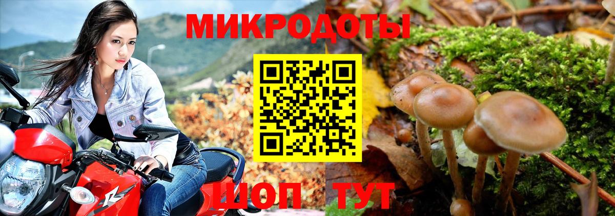 Красногорск  Псилоцибиновые грибы мухоморы  Галлюциногенные грибы Psilocybe  Вход с VPN 